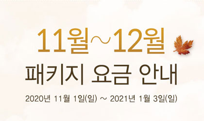 2020년 11~12월 패키지요금 안내