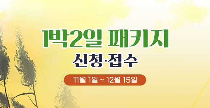 11월~12월 1박 2일 패키지